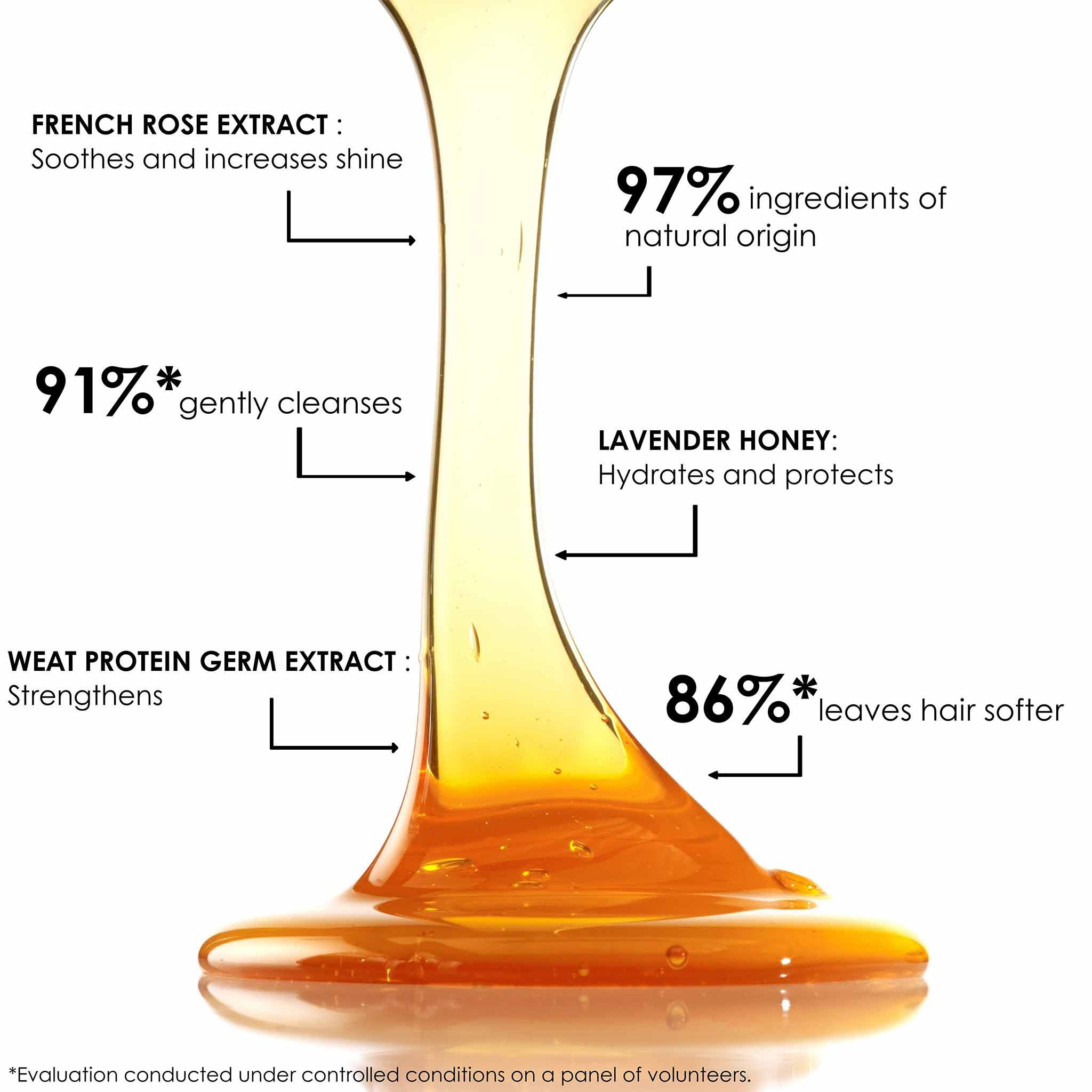 Shampooing au Miel