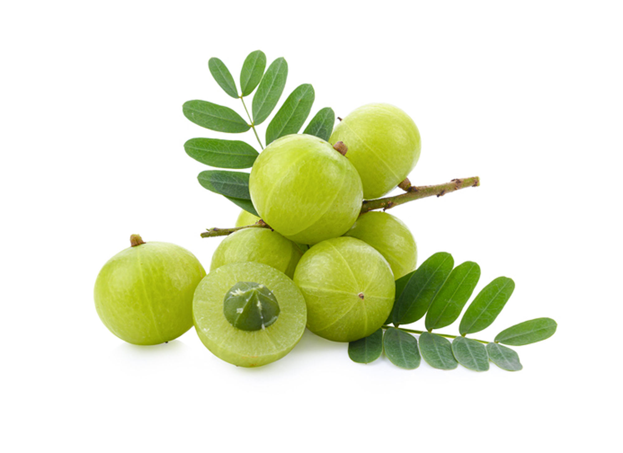 Indian Gooseberry, an ingredient in Leonor Greyl hair care products
